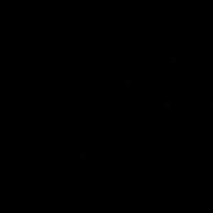 Meet your Posher, Melisa